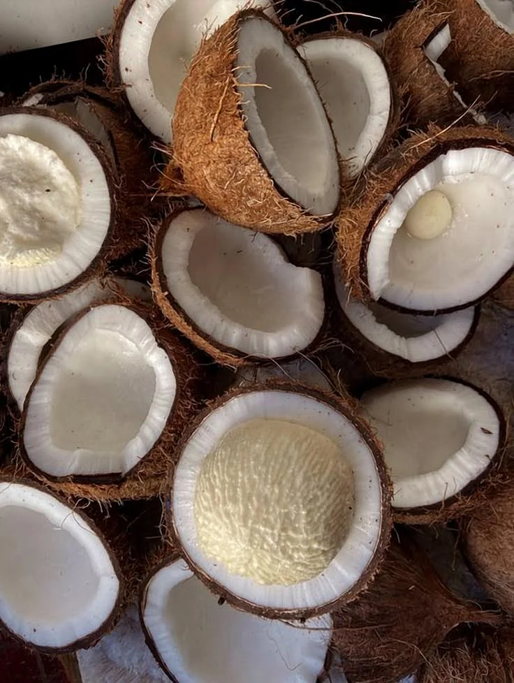 Coconut