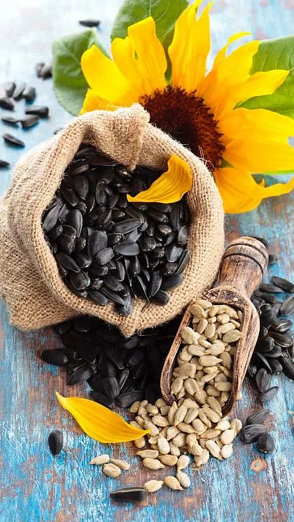 Sunflower seeds . 1