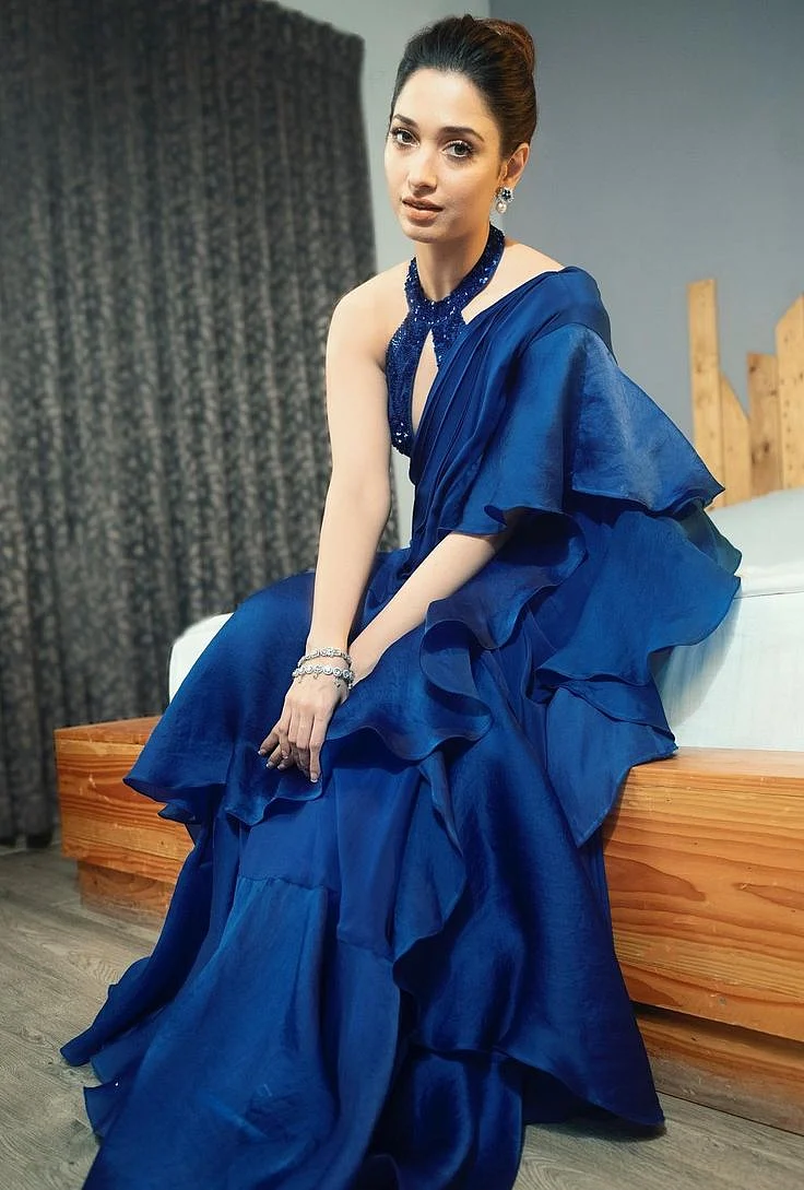 Blue Saree 7