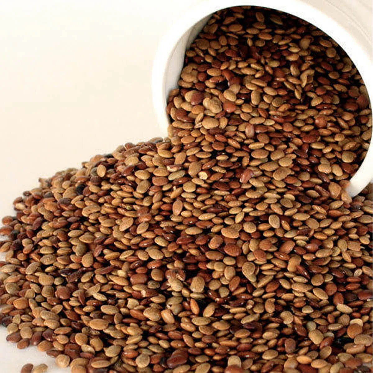 Horsegram2