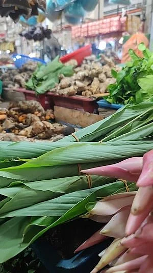 Turmeric leaves