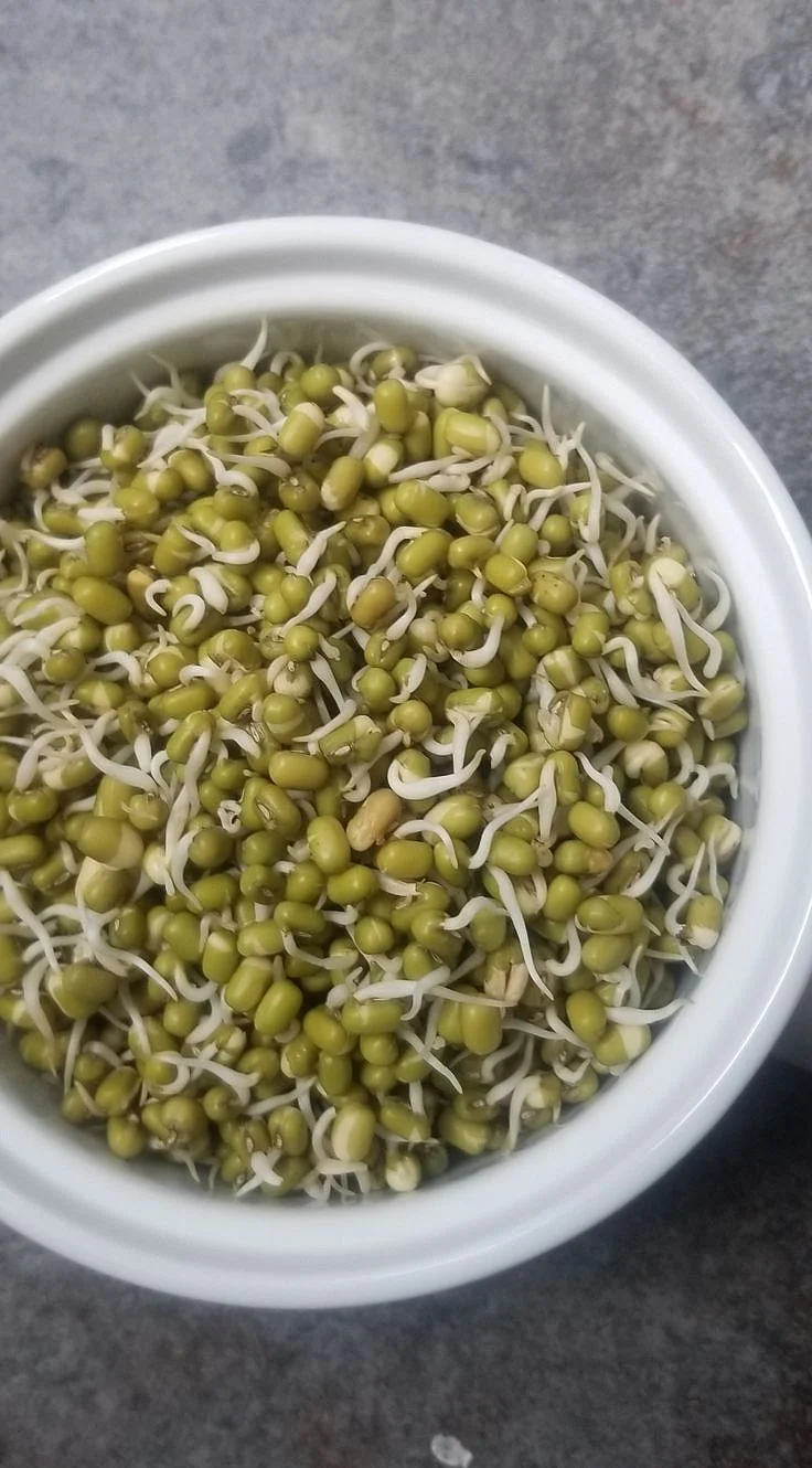 Sprouts Dal. 7