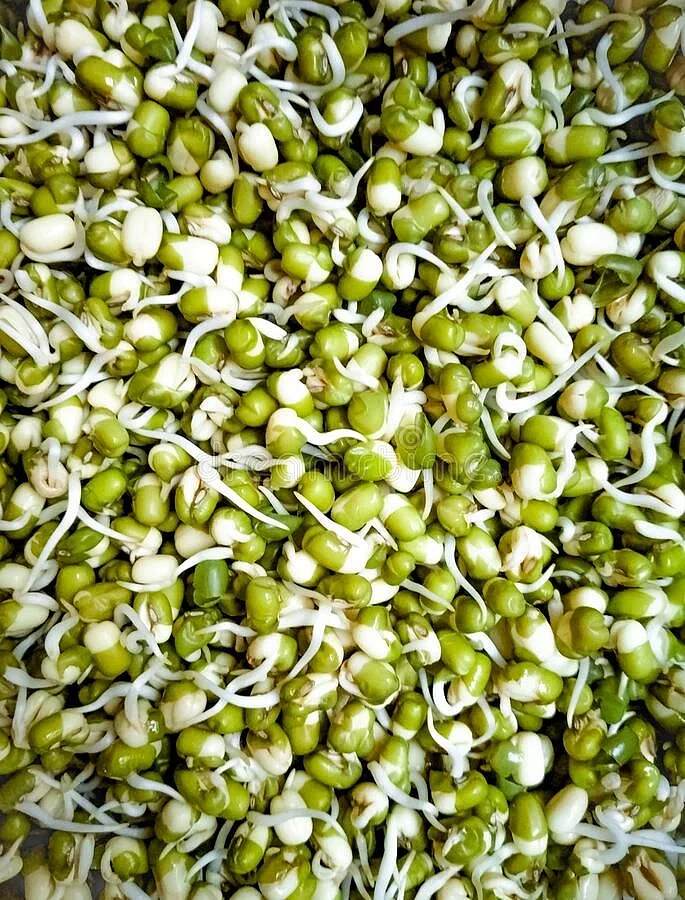 Sprouts Dal. 1