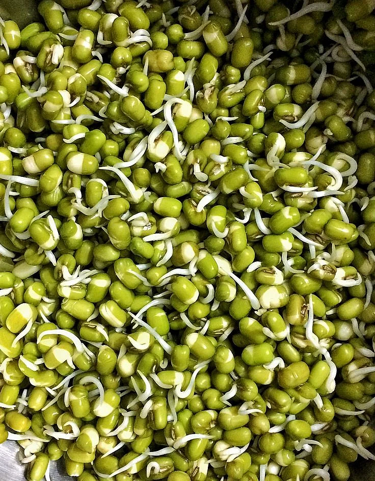 Sprouts Dal. 2
