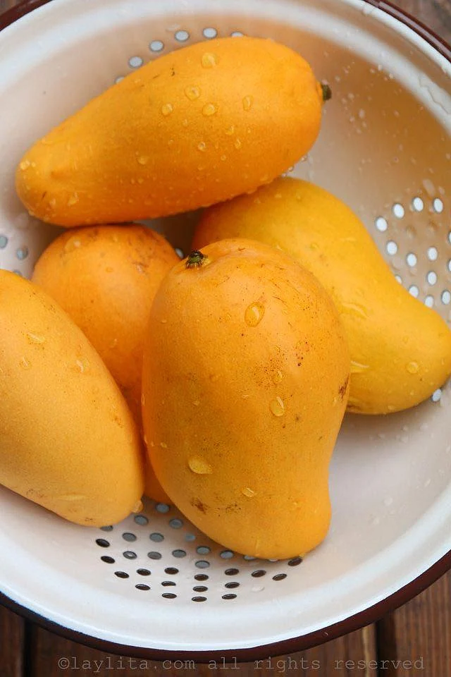 Mango yogurt popsicles Helados de mango Laylita s Recipes