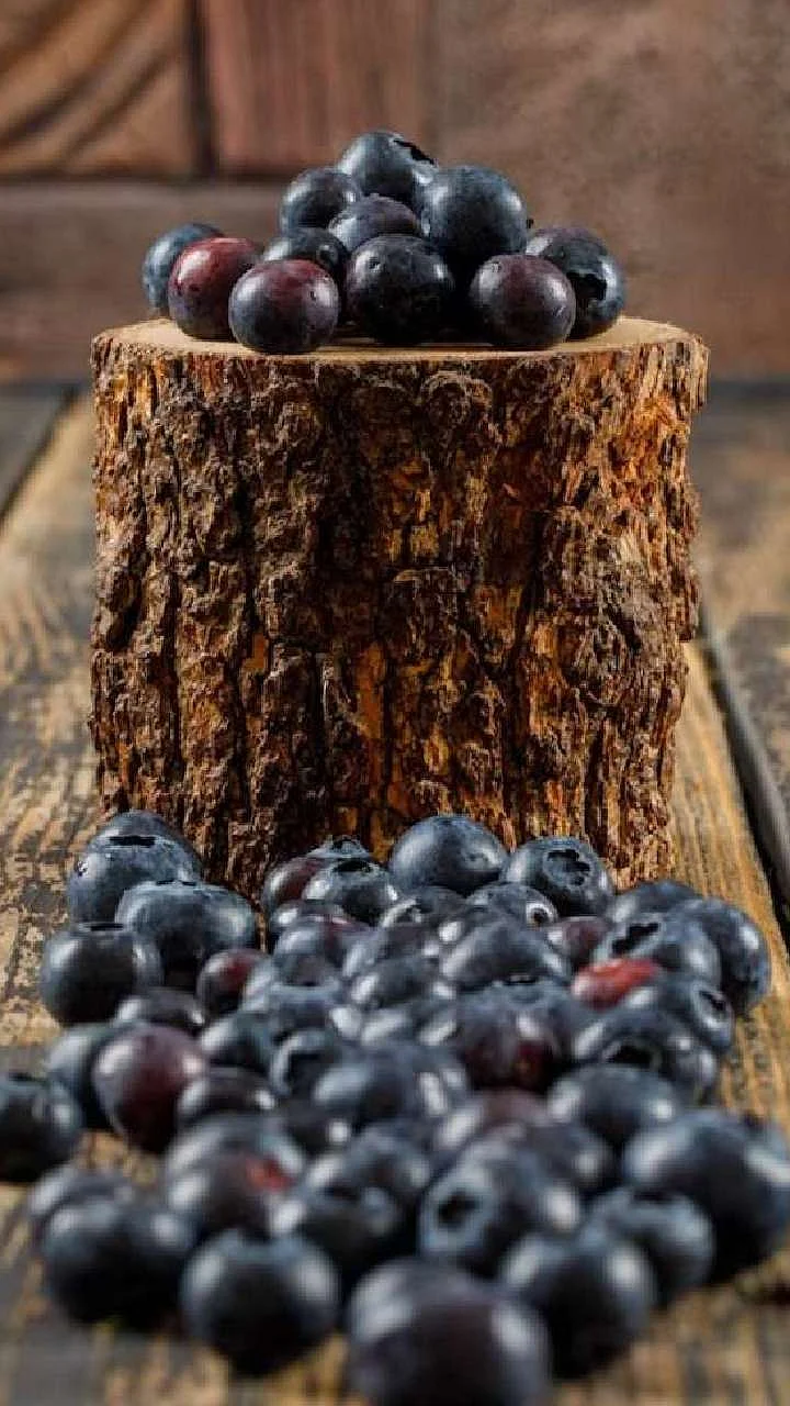 jamun fruit in english 1686639206