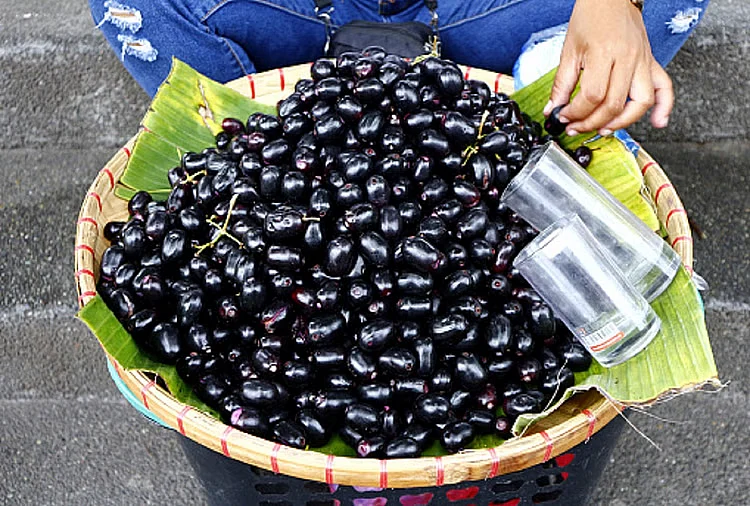 jamun seeds benefits 1602577053