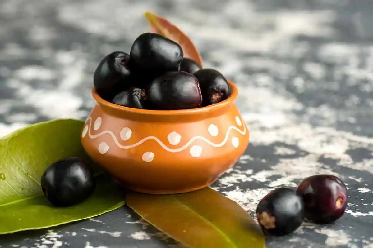 Benefits of Jamun photo stock