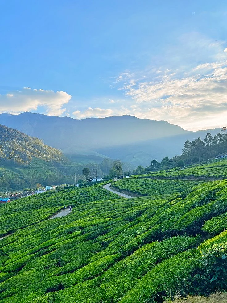 Munnar Kerala