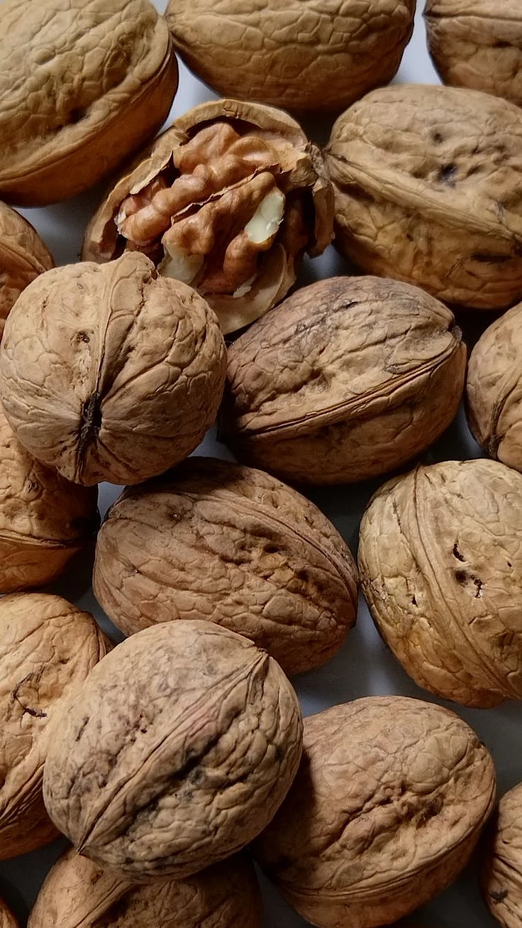 walnut.2