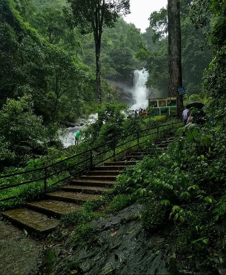 Coorg Karnataka