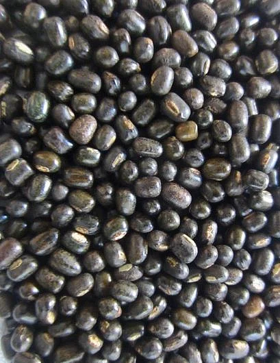 urad dal.4