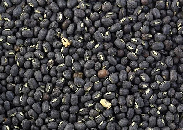 urad dal.2