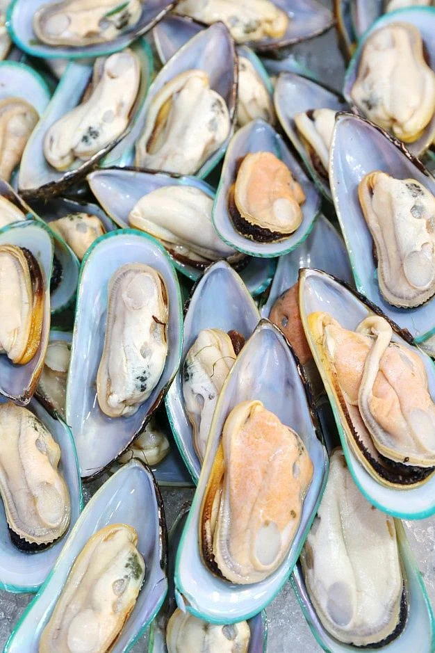 Mussels