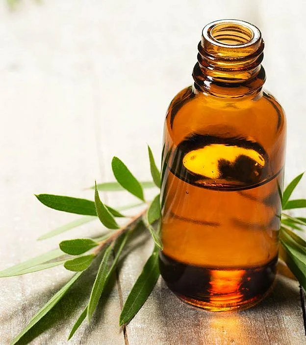tea tree oil