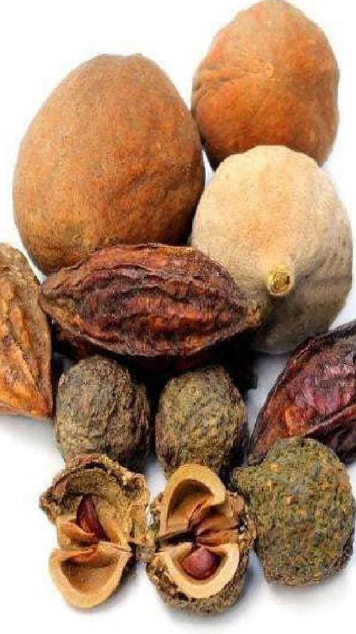 triphala side effects in hindi 1682661532
