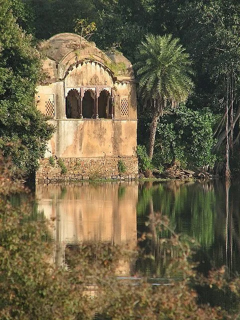 Ranthambore National Park 2