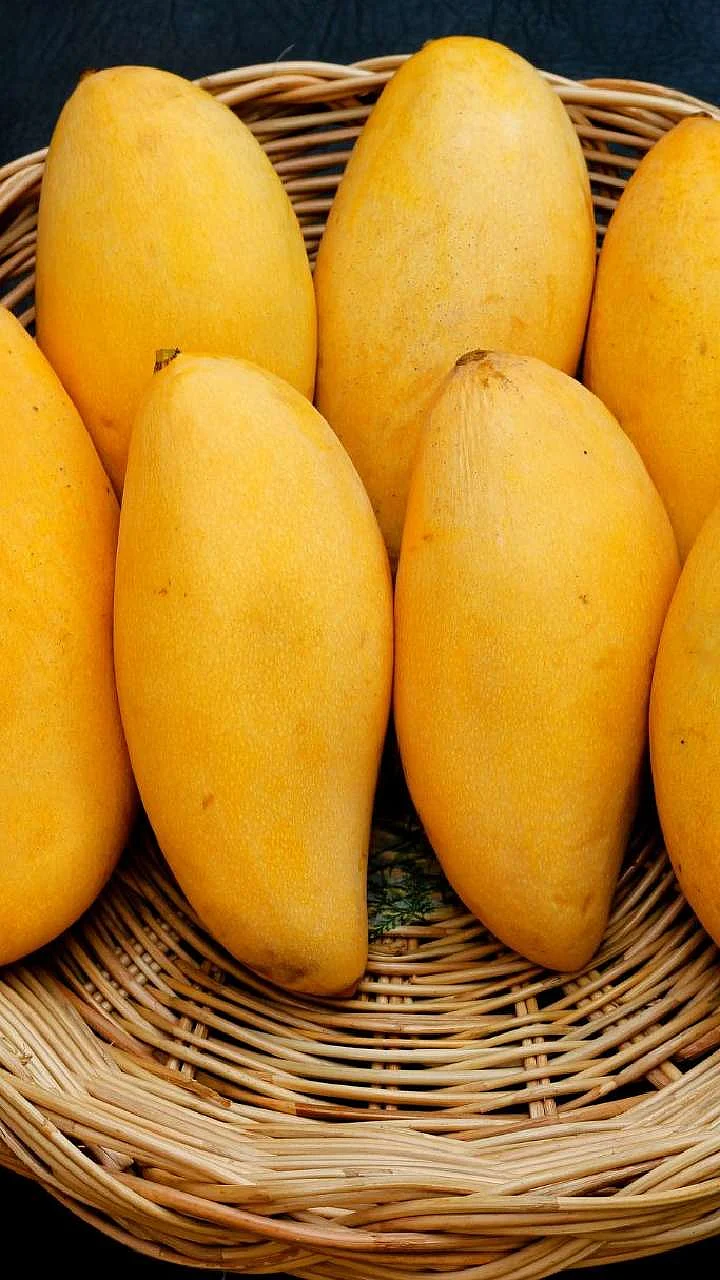 Mango
