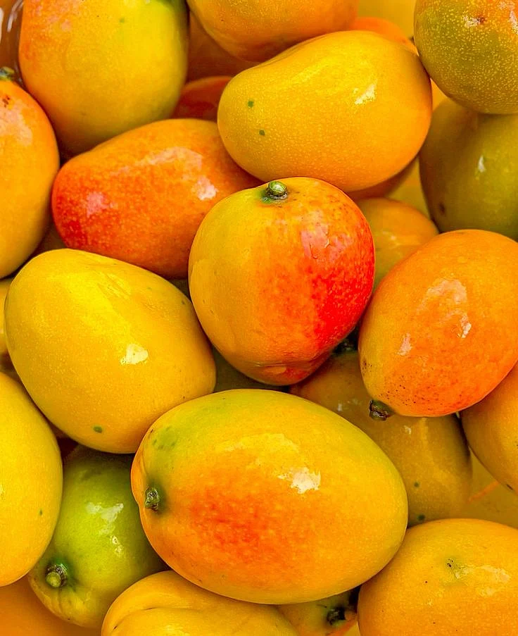 Mangoes