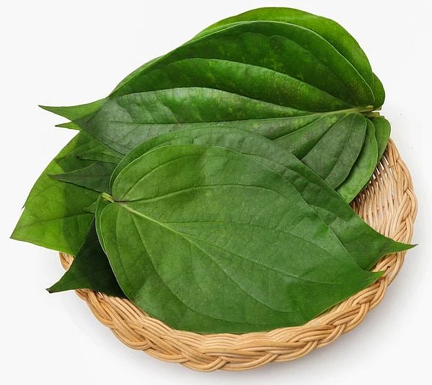 Betel leaf