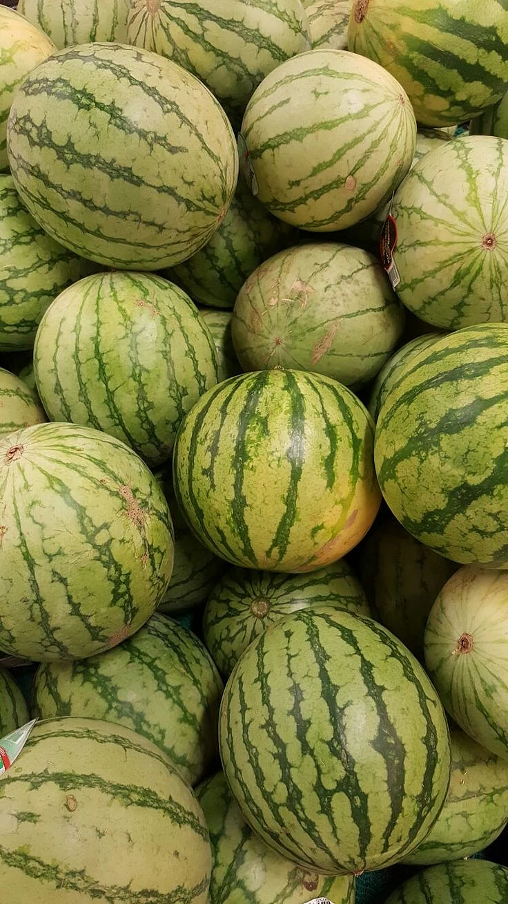 Watermelon 7