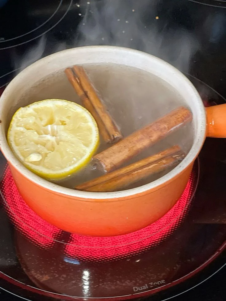 Cinnamon Tea for Sickness