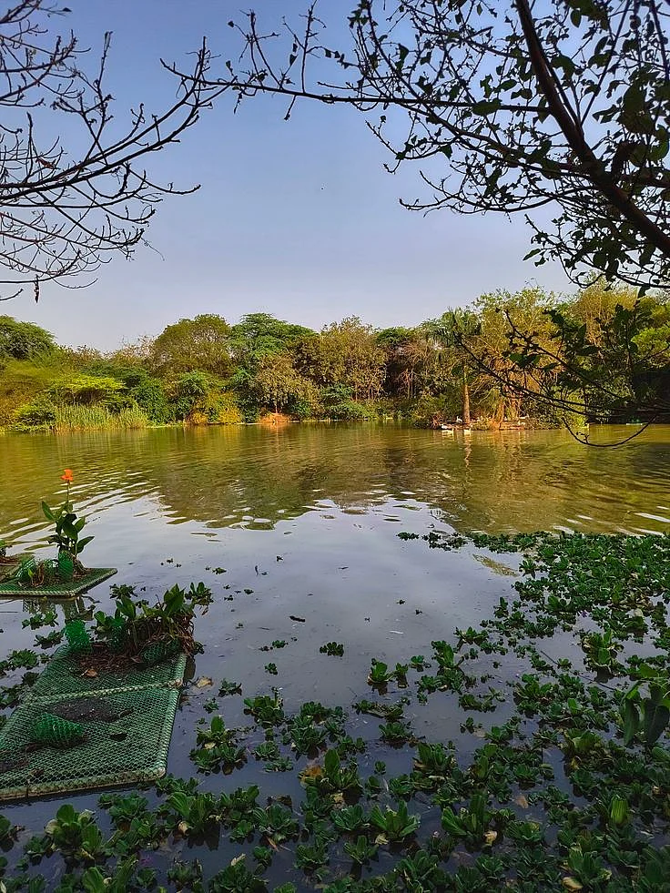 Sanjay Van