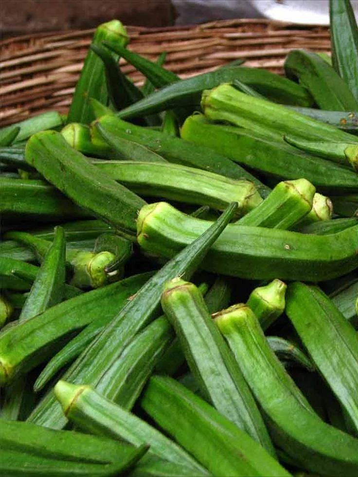 Ladyfinger