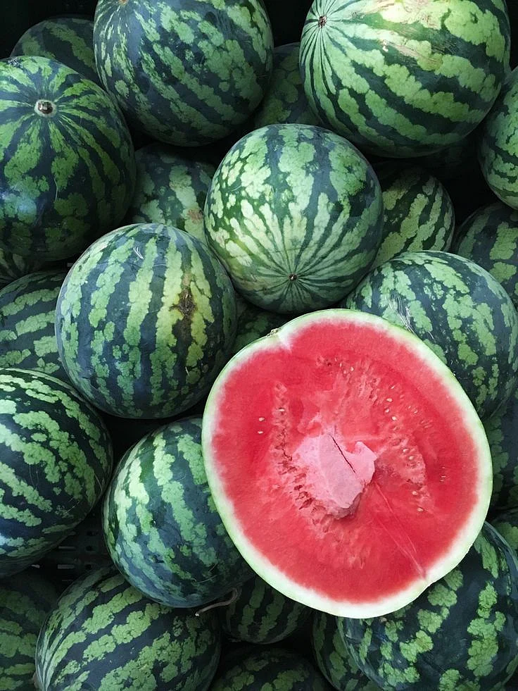 Watermelon 9