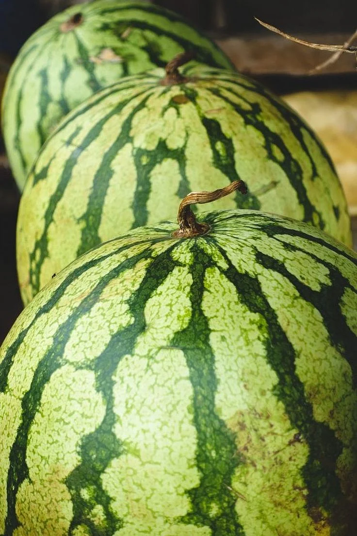 Watermelon 8