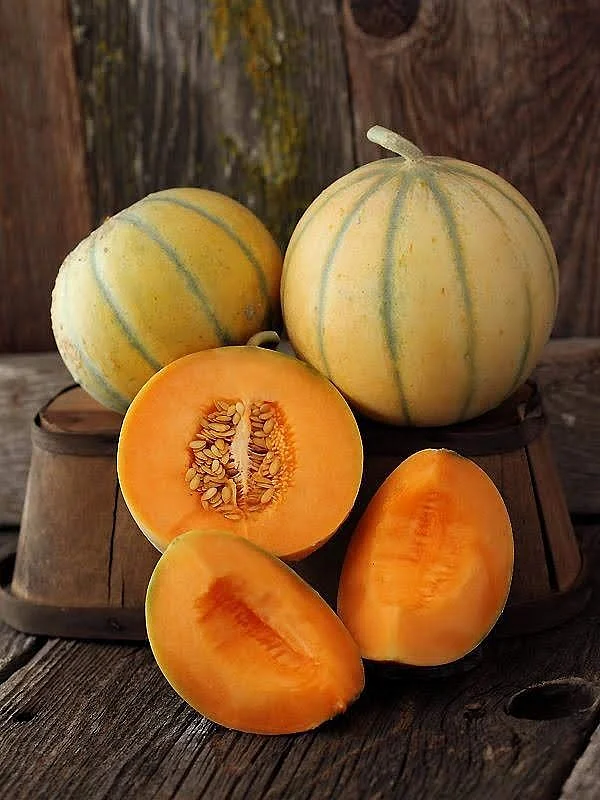 melon.7