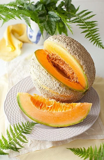 melon.3