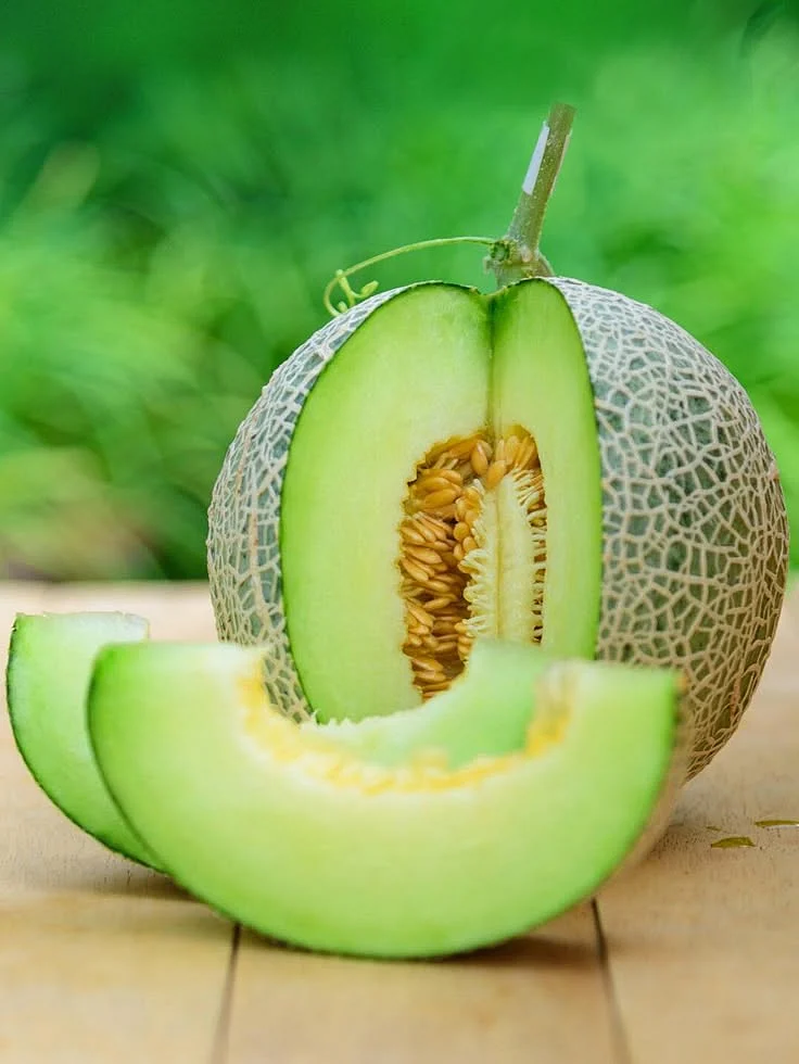 melon.2