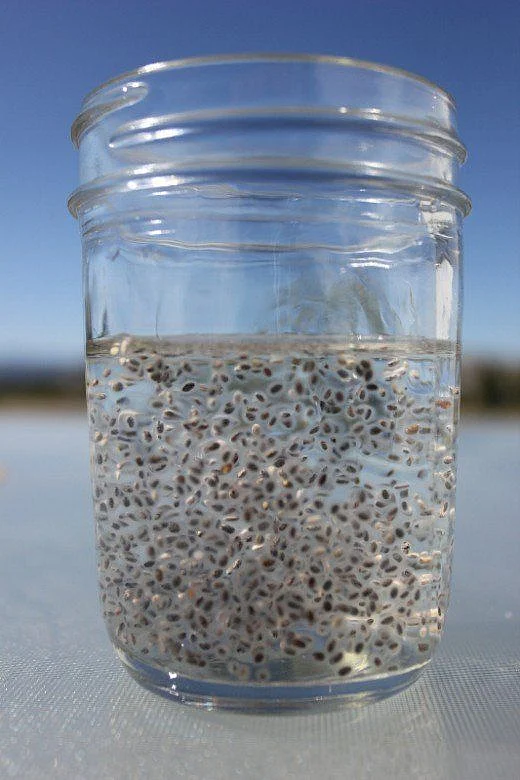 Chia Seeds 7