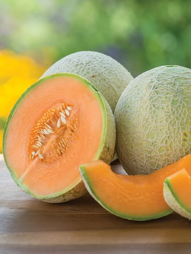 melon.5