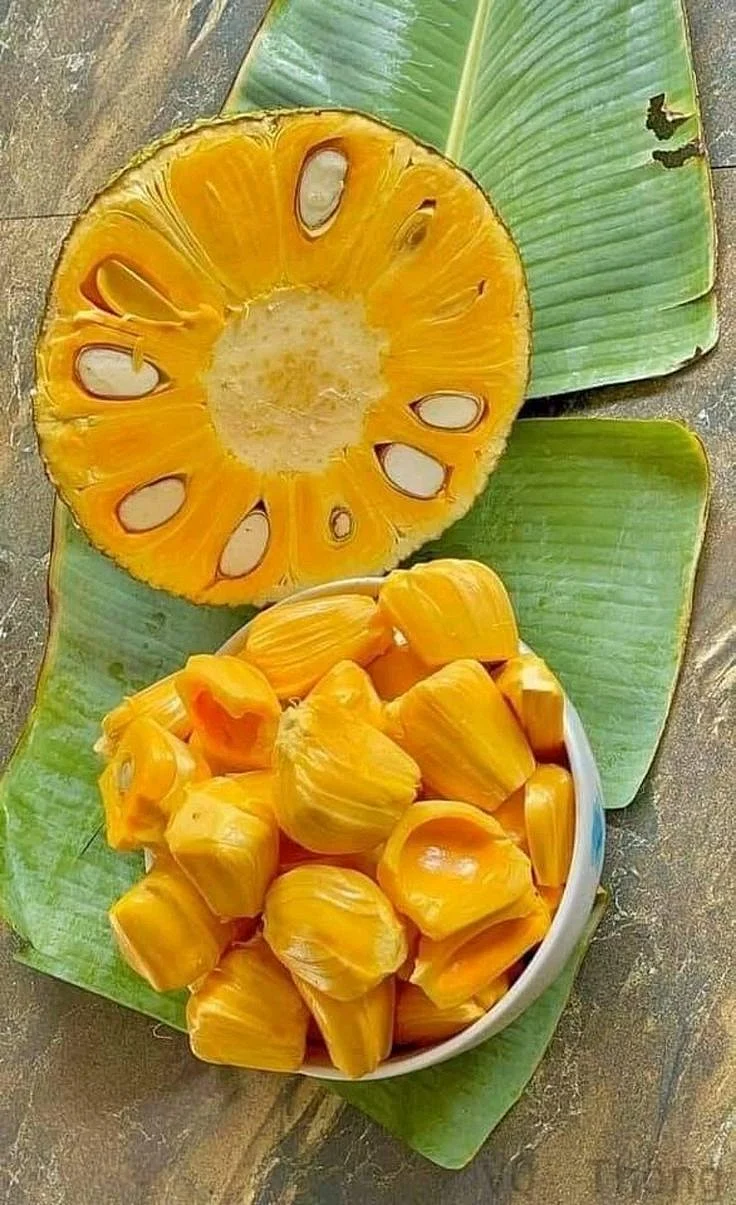 Jackfruit. 2