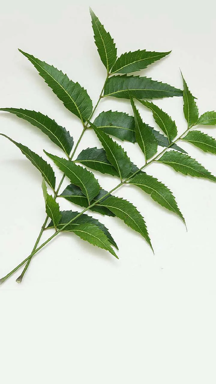 neem ke fayde 1695021899