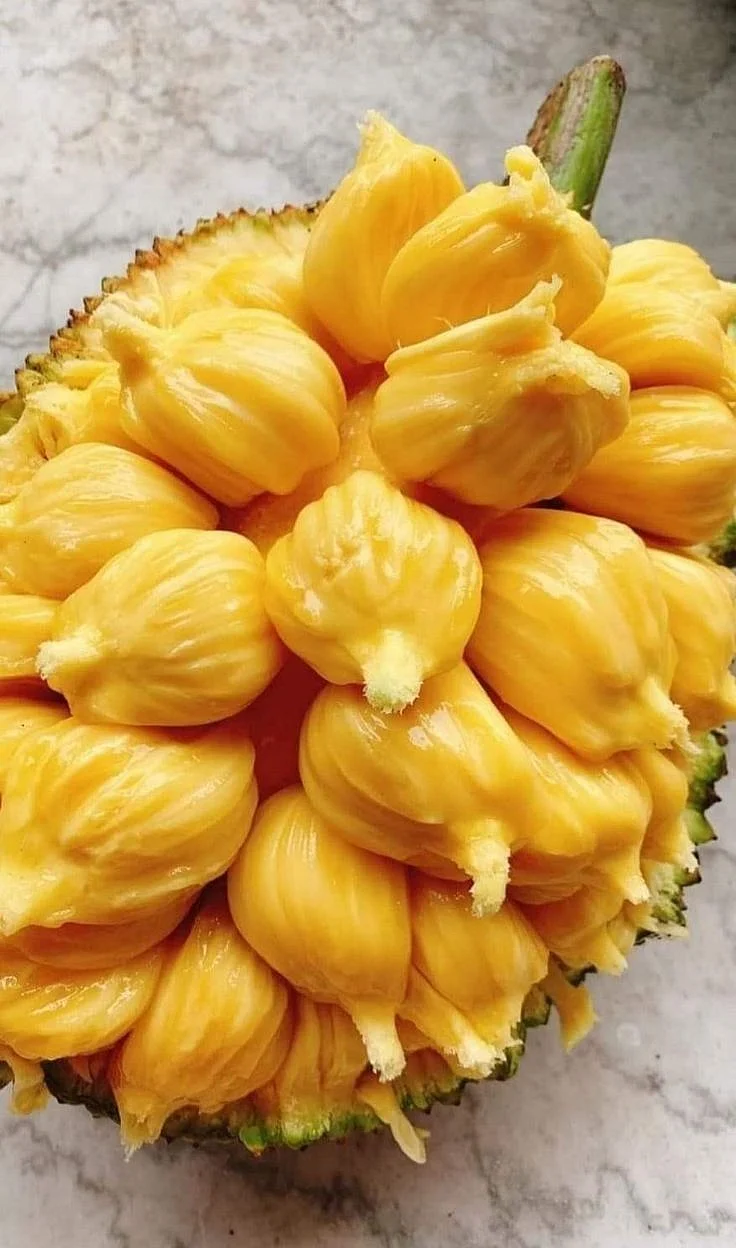 Jackfruit. 3