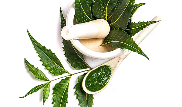 benefits of neem for skin hair and healthmobilehome