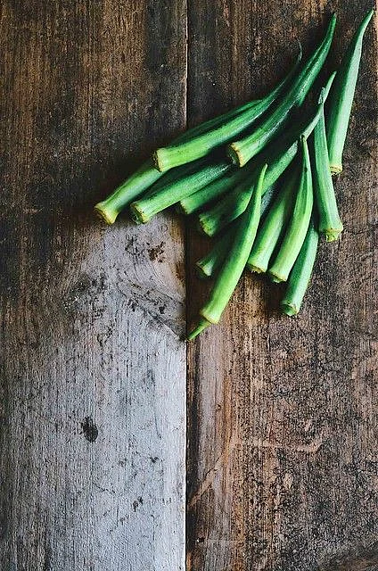 ladyfinger.7