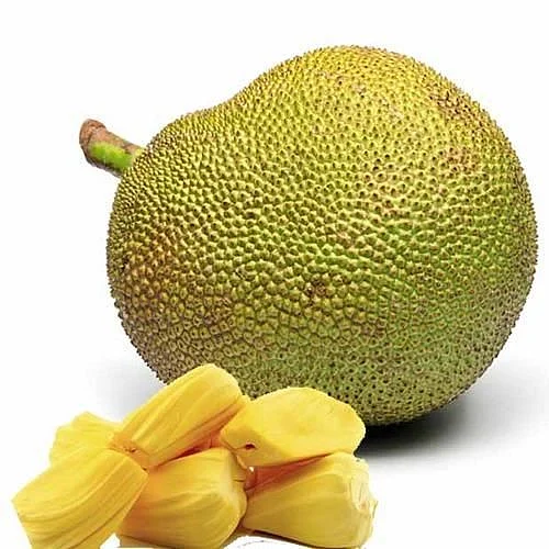 Jackfruit. 4