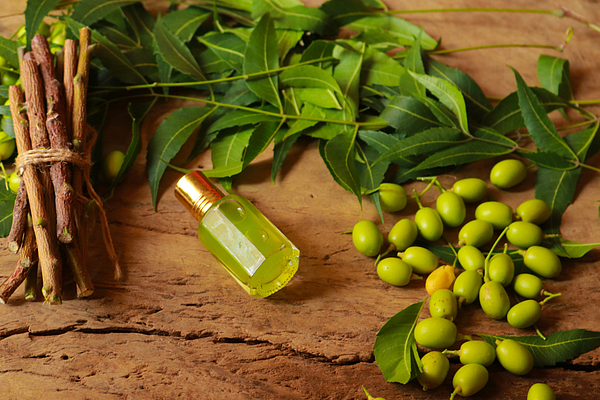 Neem ke Patte