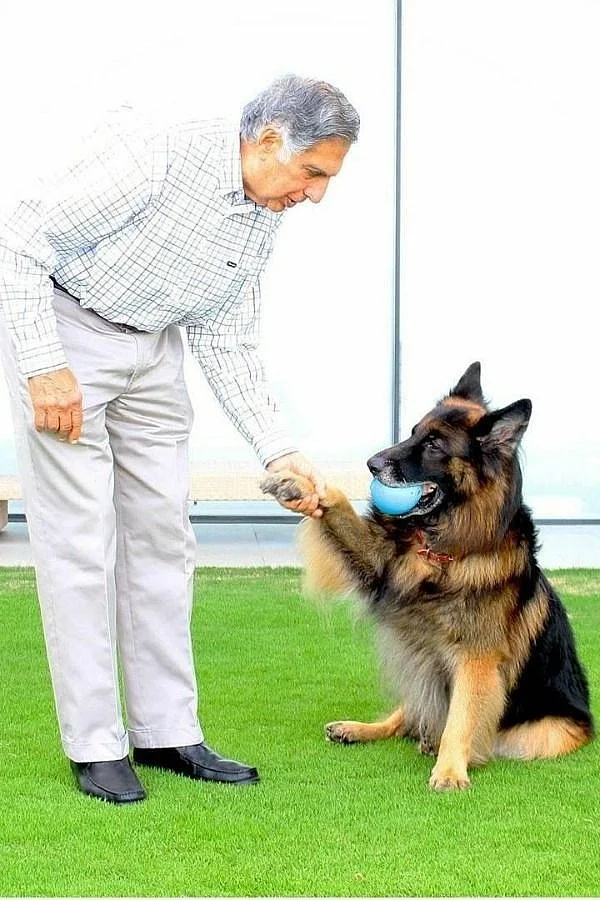 Ratan Tata 3