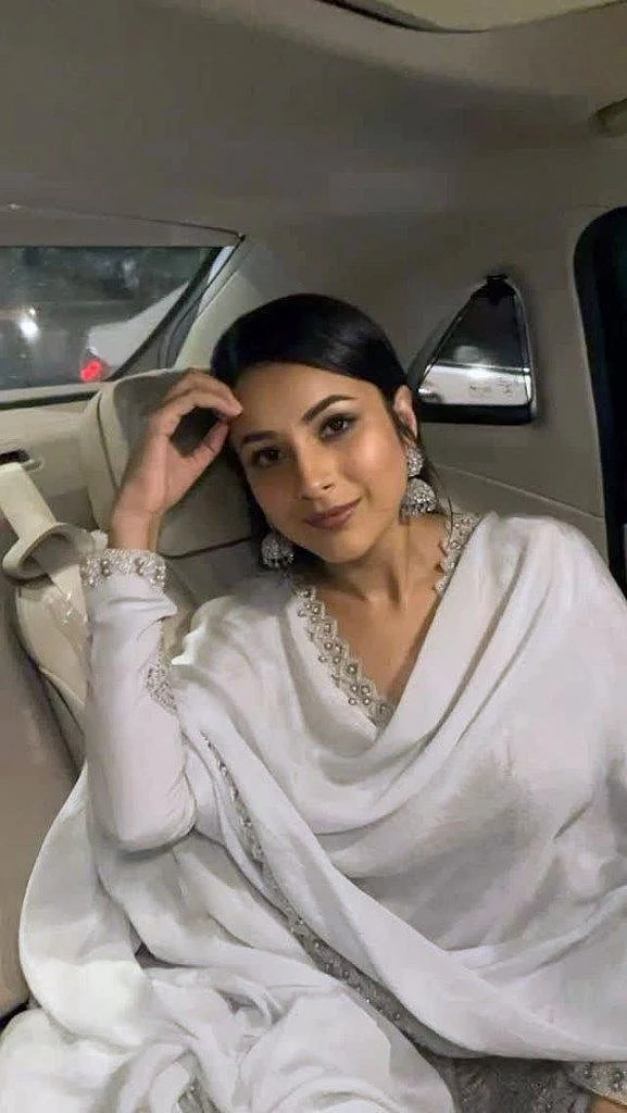 Shehnaaz Gill’s stunning make up