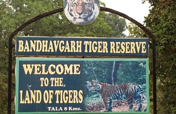 Bandhavgarh National Park Madhya Pradesh