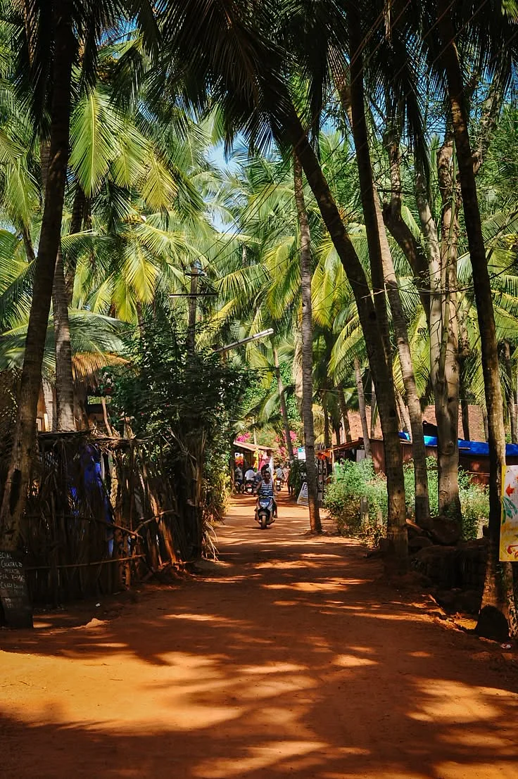 Agonda Beach