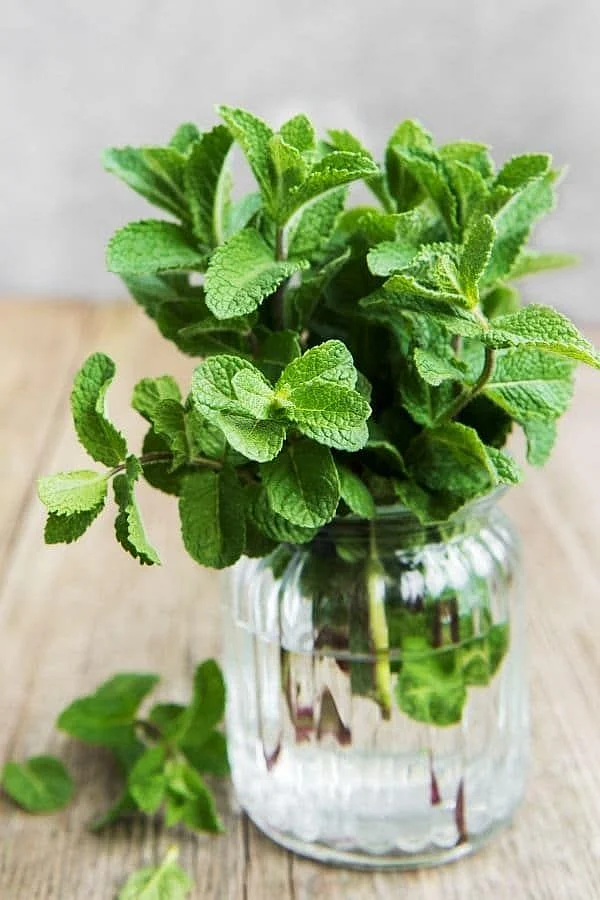 Mint.1