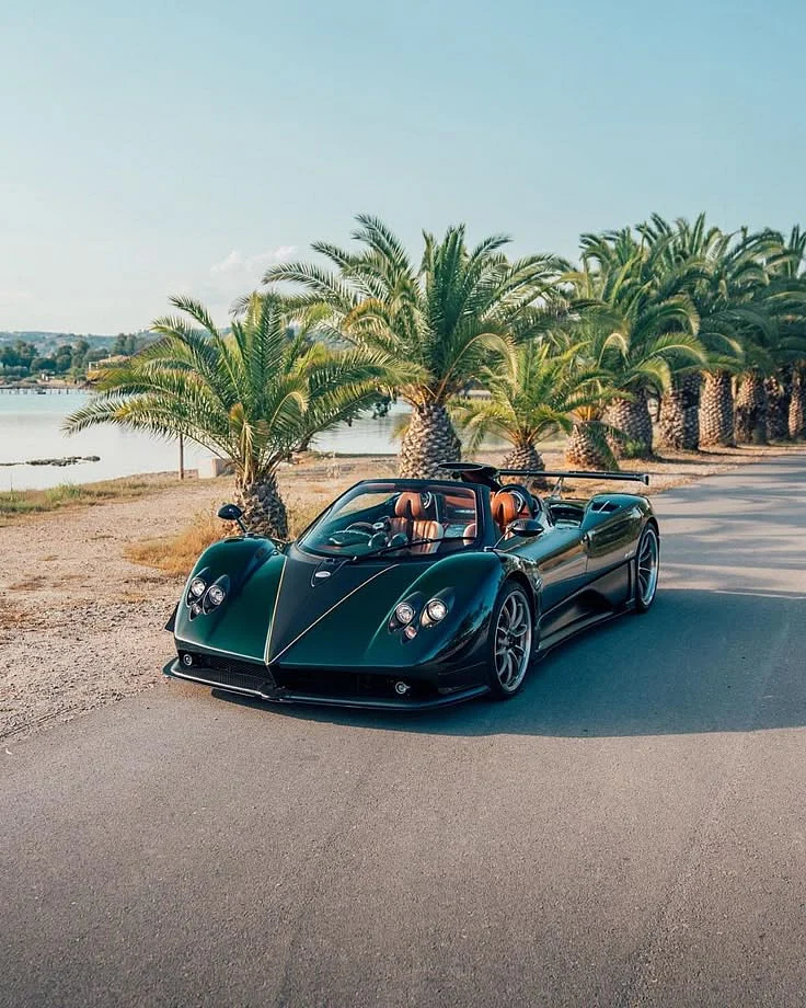 Zonda Venti