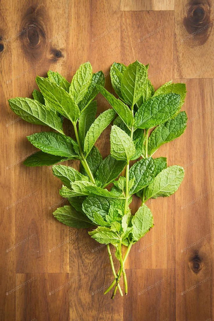 Mint.5