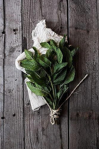 Mint.3